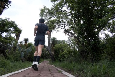 A man finds exhilarating joy while running through diverse landscapes - roads, paths, and forests - amidst trees, grass, and sky clipart
