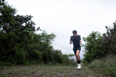 Asfalt ve çimenler üzerinde hareketli bir koşucu, dayanıklılık sporlarını ağaçlardan ve tepelerden oluşan sakin manzaralarla birleştiriyor..