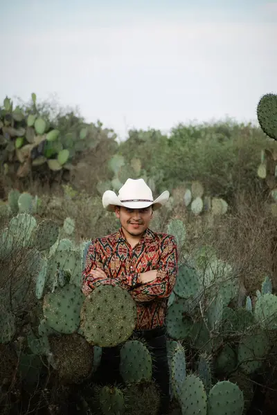 A Person in a hat observes the desert landscape with cacti.