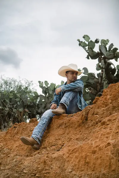 Uçsuz bucaksız gökyüzünün altında, kaktüslerle çevrili, bir çiftlikte çalışan bir kovboy.