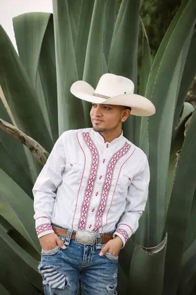 Cow Boy Mexicain Plantes Agaves Beauté Nature Lunettes Soleil Tout Photo De Stock