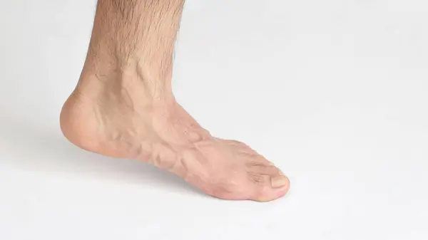 stock image A Adult man foot viewed from the inner ankle, standing on tiptoe, left foot with space for text, white background