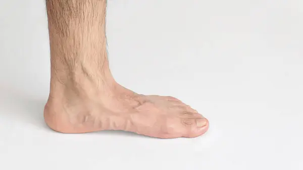 stock image A Inner view of adult man's ankle, against a white background with space for text, left foot, full foot