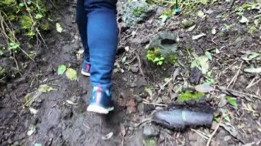 Bereketli arazi, sisli bir orman ortamında büyük kayaları kaplayan canlı yeşillikleri barındırır. Yoğun sis bölgeyi sararken, arka planda kuşlar cıvıldıyor ve sakin bir atmosfer yaratıyor.. 