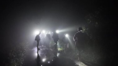 Göz kamaştırıcı çiçekli bir bitki sergileniyor, eşsiz yapısı ve canlı renkleri gece arkaplanına karşı sergileniyor. Parque el Ajusco, Mexico City 'de yer alan bu doğal güzellik kendi çevresinde gelişir..