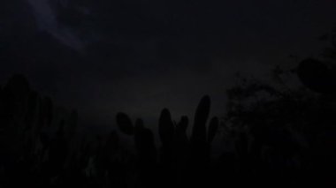 Kaktüs dolu bir arazide gece çökerken çöl manzarasının dönüşümüne tanık olun. Zaman çizelgesi, gün ışığından karanlığa kademeli geçişi ortaya koyuyor, derinleşen gökyüzüne karşı kaktüslerin siluetlerini gösteriyor..