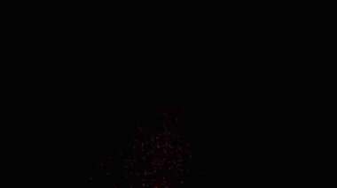 Bu büyüleyici yavaş çekim ekranı, gece karanlığında havada patlayan kıvılcımları gösteriyor. Parlayan parçacıklar zarifçe süzülerek çevreyi aydınlatırken büyüleyici bir etki yaratırlar..