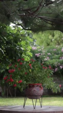 Canlı çiçekler yemyeşil ve ağaçlarla çevrili sakin bir bahçede çiçek açar.