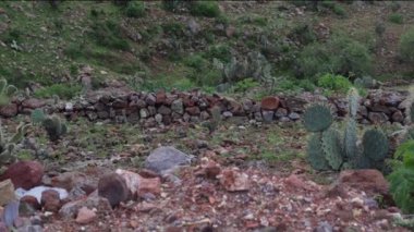 Bu büyüleyici manzara çeşitli kaktüsler ve taşlarla dolu engebeli bir manzarayı gözler önüne seriyor. Bataklıkta, yemyeşil bitki örtüsüyle çevrili antik bir duvar oluşturan katmanlı kayalar yer alıyor..