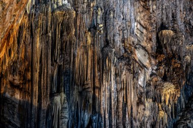 Ziyaretçiler, Cacahuamilpa Mağara Ulusal Parkı 'ndaki nefes kesici kaya oluşumlarına hayret ederek doğanın sanatını sergiliyorlar. Eşsiz sarkıtlar ve dikitler büyüleyici bir yeraltı manzarası yaratıyor..