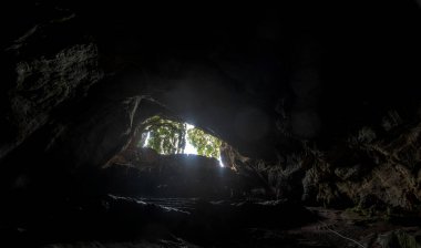 Güneş ışığı Grutas de Cacahuamilpa 'nın açılışından süzülerek mağaranın içinde nefes kesici bir görüntü oluşturur. Girişin etrafındaki yemyeşil bitki örtüsü karanlık iç mekânla çelişiyor..