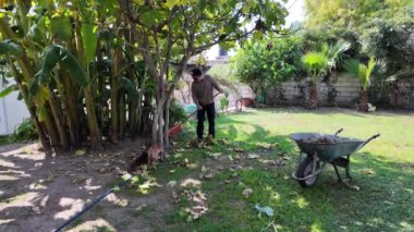 Erkek bahçedeki yaprakları tırmıklarken, kedi açık havada güneşleniyor.