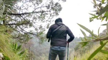 CDMX 'te Volkan El Ajusco' yu Keşfeden: Doğanın Güzelliğine Yolculuk