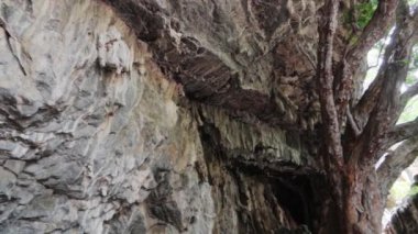 Grutas de Cacahuamilpa 'nın Meksika' nın Doğal Güzelliği 'ndeki Harikalarını keşfediyorum.