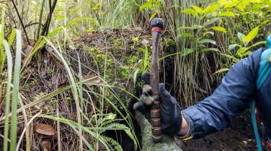 Yerdeki gizli hazineleri ortaya çıkarmak için bir araç kullanarak bir ormanı keşfetmek.