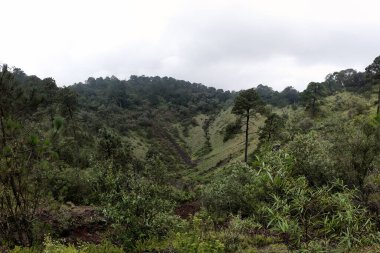 Dağlık bir bölgede, bulutlu gökyüzünün altındaki yemyeşil vadi manzarası