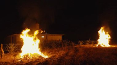 Meksika 'da taze ürünler ve yerel zanaatlarla dolu renkli bir sokak pazarı.