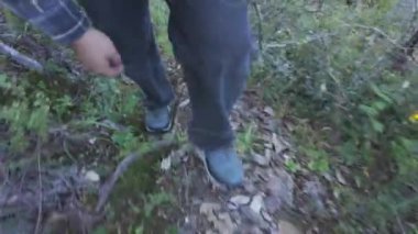 Yeşillik içinde doğayı keşfederken patikalarda geziniyor.