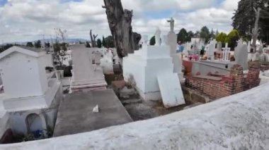 Meksika 'da Eşsiz Mezarlar ve Anılarla Dolu Tarihi Mezarlığı Keşfediyorum.