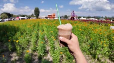 Cholula ve Atlixco 'nun canlı çiçek tarlalarında espuma de kakao keşfediyor.