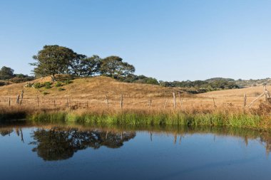 Sakin sulara sahip sakin manzara uzaktaki ağaçları ve tepeleri yansıtıyor.