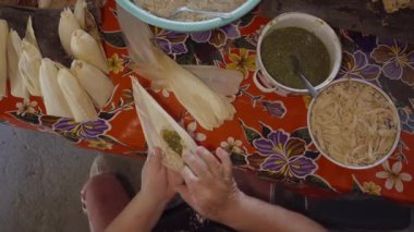 Geleneksel usulde yeşil salsa soslu ve tavuklu otantik Meksika dolmaları.