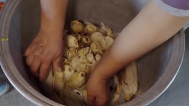 Yeşil salsa tavuğu ve kırmızı salsa peynirli geleneksel Meksika tamaleleri yapıyorum.