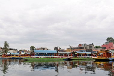 Bulutlu bir öğleden sonra Meksika 'da Xochimilco' nun canlı trajineralarını keşfediyorum.