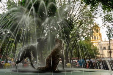 Çeşmeleri, kiliseleri ve canlı atmosferiyle tarihi Coyoacan 'ı keşfedin.