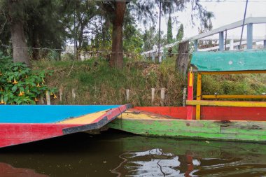 Meksika 'daki Xochimilco kanallarında renkli trajineraları keşfetmek.