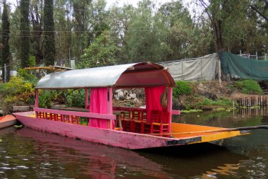 Meksika Xochimilco kanallarında yüzen renkli bir trajinera teknesi.