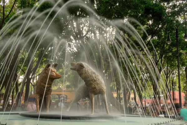 Meksiko 'nun canlı kalbi Coyoacan' ın tarihi pınarlarını araştırıyorum.