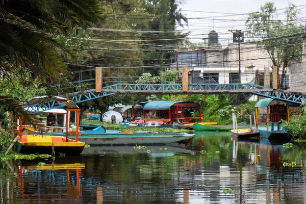 Renkli trajineralar Meksika 'nın canlı su yolu Xochimilco' da huzur içinde yüzerler.