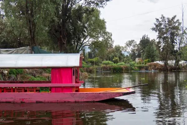 Güneşli bir günde Meksika 'daki Xochimilco kanallarında renkli trajineralar.