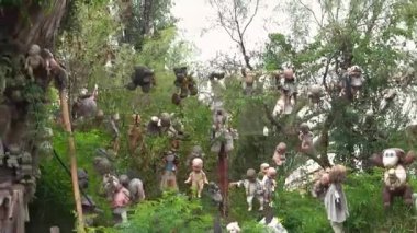 Xochimilco, Meksika 'daki Bebekler Adası' nın rahatsız edici güzelliğini keşfedin.