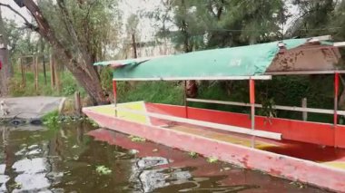 Kanallardaki huzurlu anlarda Xochimilco, Meksika 'daki trajineraları keşfedin.