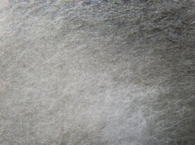 Bu yakın çekim görüntüde pamuk ya da lif yalıtımı gibi görünen yumuşak, yumuşak beyaz bir madde dokusu görülüyor. İplikler birbirine dolanır, hassas ve havadar bir kompozisyon oluşturur..