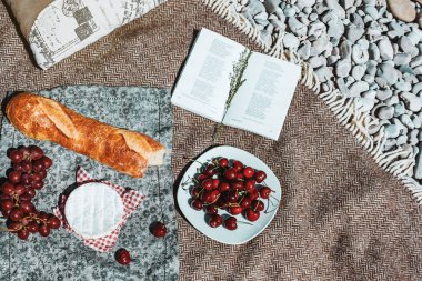 Summer romantic rustic picnic on the plaid. French style. Baguette, cherries, camembert cheese, open book from above. Vacation, rest on the beach alone.