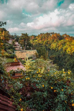 Cottages in the tropical forest, Ubud, Bali island, Indonesia. Sunset among jungle. High quality photo