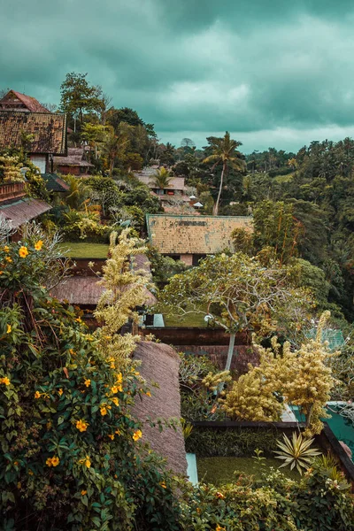 印度尼西亚巴厘岛乌布德热带雨林的小木屋 落日在丛林中 高质量的照片 — 图库照片