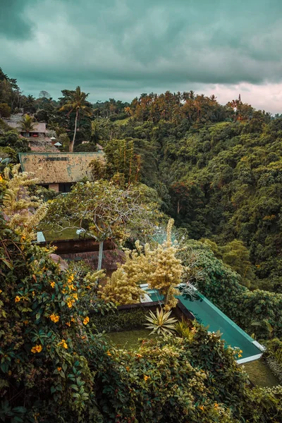 Cottages in the tropical forest, Ubud, Bali island, Indonesia. Sunset among jungle. High quality photo