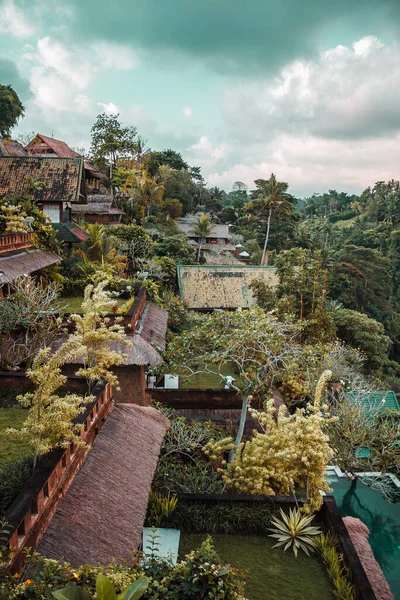 Cottages in the tropical forest, Ubud, Bali island, Indonesia. Sunset among jungle. High quality photo