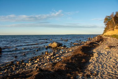 Baltık Denizi, Almanya 'daki Poel adasında, deniz ve mavi gökyüzü ile kara çalıların kıyısında