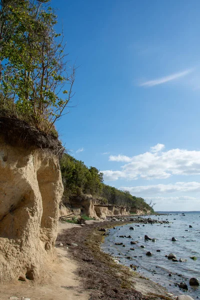 stock image Steep coast on the black bush with many large stones in the sea, on the island of Poel on the Baltic Sea, Germany