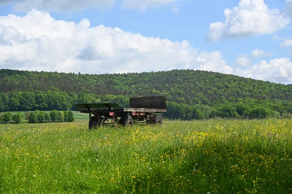 An empty trailer from a farm stands on a flower meadow in a green landscape