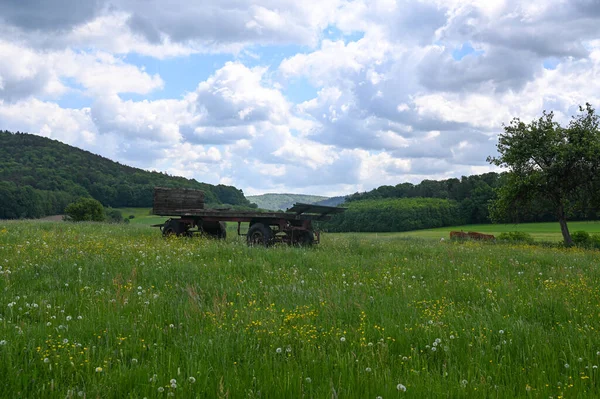 An empty trailer from a farm stands on a flower meadow in a green landscape
