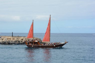 Doğulu bir meşe ağacı, denizde turistlerle birlikte, limandan ayrılıyor.