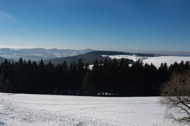 Lots of snow in nature, with trees and blue sky in the high Rhoen, Hesse, Germany
