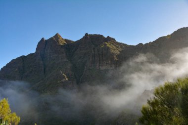 Fog in the green Teno Mountains near Masca on the Canary Island of Tenerife, Spain