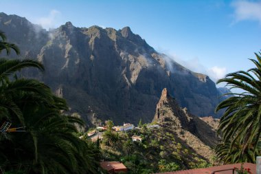 The small mountain village of Masca, mit Palm tree  in the Teno mountains on the Canary Island of Tenerife, Spain, Europe